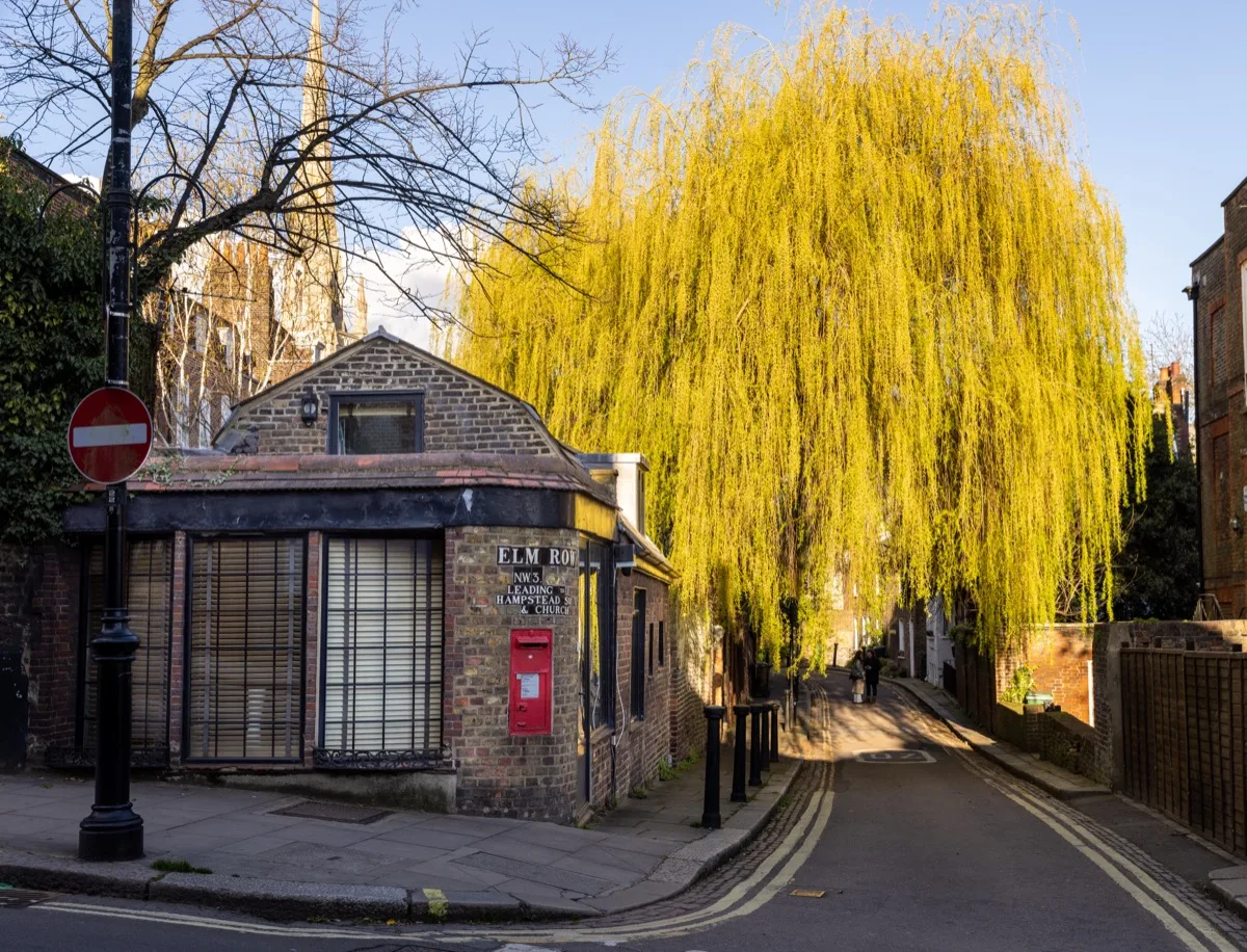 Georgian cottages with colourful doors and ornate ironwork in Hampstead village