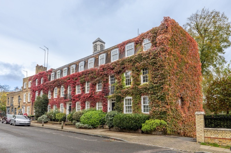 Ivy-covered Georgian terrace in autumn