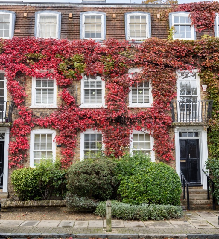 Show home living area